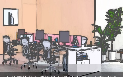 办公室放什么植物风水好(办公室风水布局图)