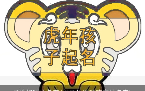 马姓好听的名字(姓马的男孩响亮的名字)