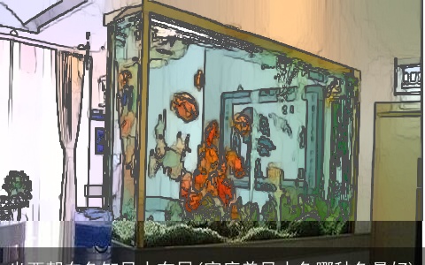 坐西朝东鱼缸风水布局(家庭养风水鱼哪种鱼最好)