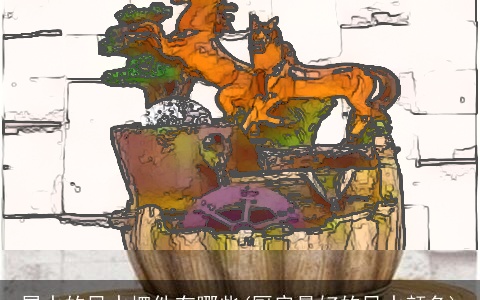 属水的风水摆件有哪些(厨房最好的风水颜色)