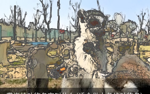 带海的动物名字叫什么(适合做人名的动物名)