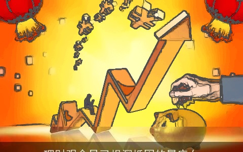 理财观念早已根深柢固的星座女