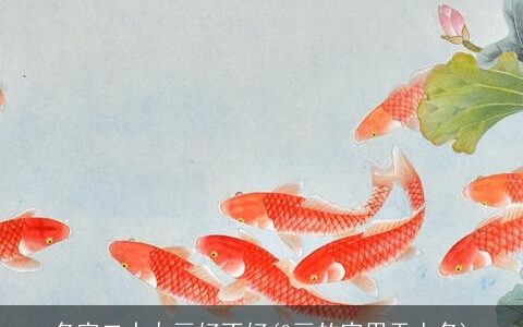 名字二十九画好不好(9画的字用于人名)