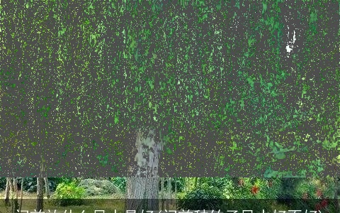 门前放什么风水最好(门前种竹子风水好不好)