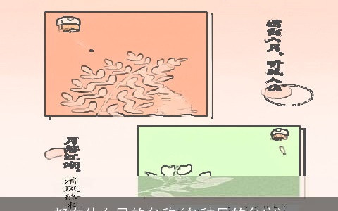 都有什么风的名称(各种风的名字)