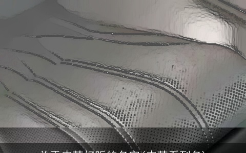 关于皮革好听的名字(皮革系列名)