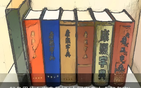 起名用什么字典最好(中国字典大全起名字)