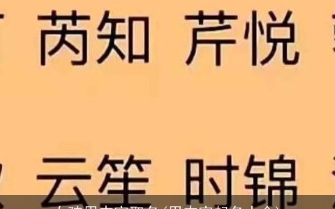 女孩用杰字取名(用杰字起名大全)