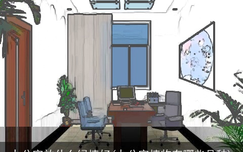 办公室放什么绿植好(办公室植物有哪些品种)