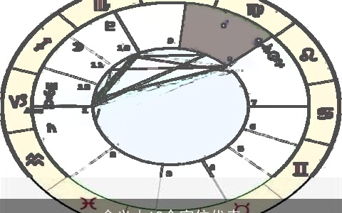 含义由12个宫位代表