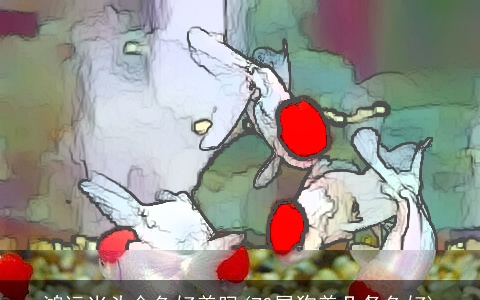 鸿运当头金鱼好养吗(70属龙养几条鱼好)