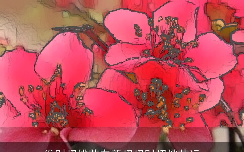 发财招桃花有新招招财招桃花运