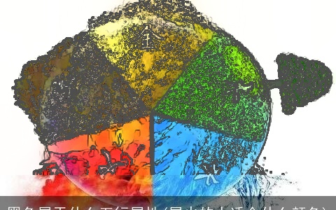 黑色属于什么五行属性(属火的人适合什么颜色)