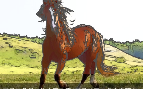 属马的几月出生大富大贵(属马的历史名人有哪些)