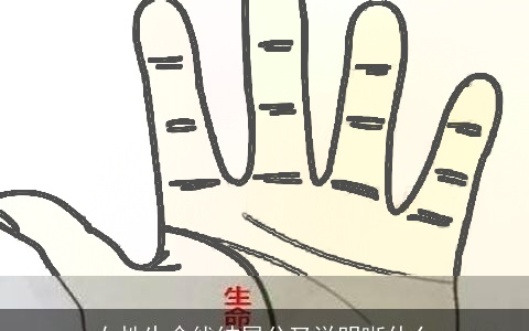 女性生命线结尾分叉说明晰什么