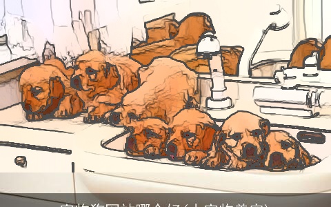 宠物狗网站哪个好(小宠物美容)