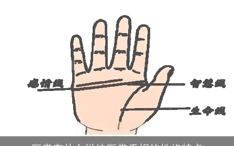 断掌有什么说法断掌手相的性格特点