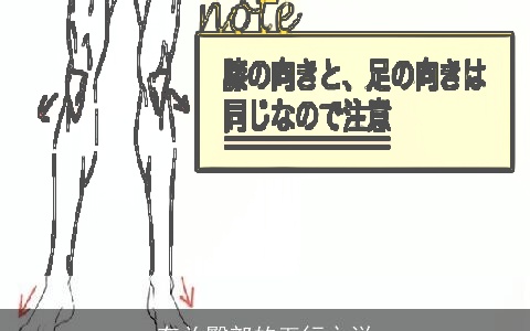 有关臀部的五行之说