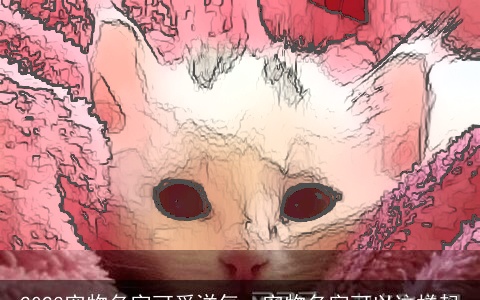 2024宠物名字可爱洋气，宠物名字可以这样起