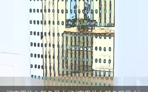 门帘用什么颜色风水好(家里什么颜色旺风水)