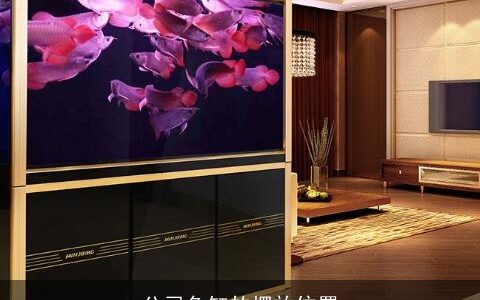 公司鱼缸的摆放位置