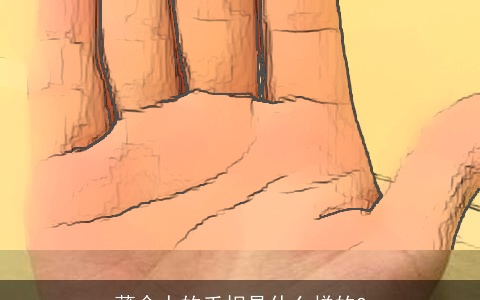 薄命人的手相是什么样的?