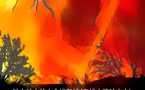 缺火缺木的人命运怎样(五行水旺缺木火)