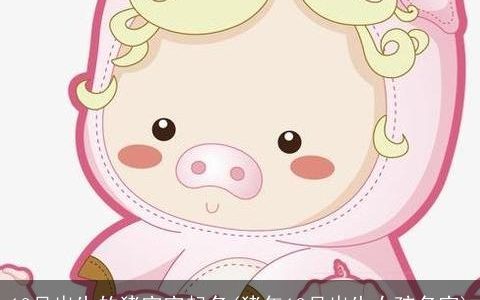 12月出生的猪宝宝起名(猪年12月出生女孩名字)