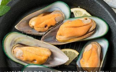 100种海鲜类名称大全(常见海鲜名称大全图片)