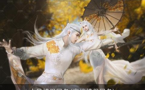 古风情侣网名(高端情侣网名)