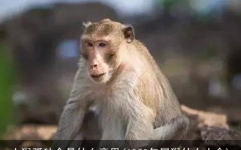 土猴孤独命是什么意思(1968年属猴什么土命)