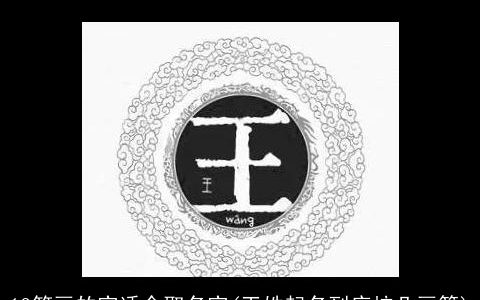 12笔画的字适合取名字(王姓起名到底按几画算)