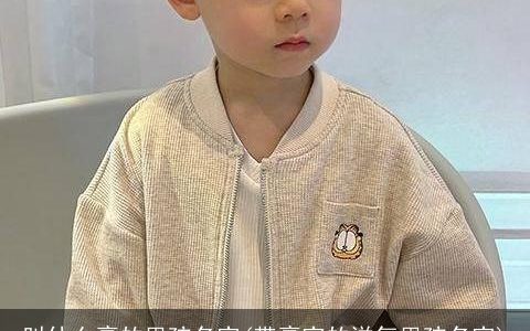 叫什么豪的男孩名字(带豪字的洋气男孩名字)