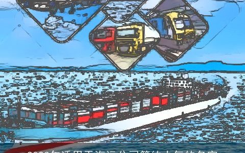 2024年适用于海运公司简约大气的名字