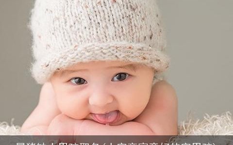 属猪缺土男孩取名(土字旁寓意好的字男孩)