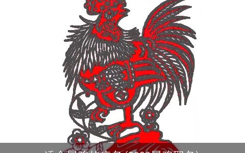 适合属鸡的店名(2023属鸡取名)