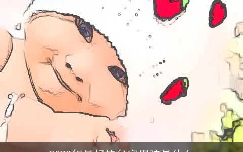 2023年最好的名字男孩是什么