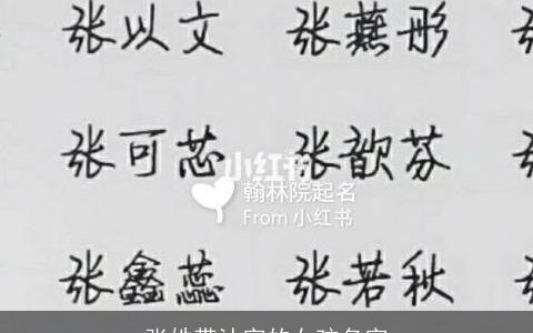 张姓带沐字的女孩名字