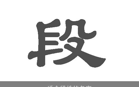 适合段姓的名字