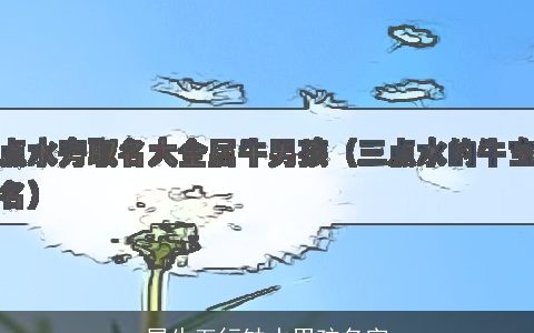 属牛五行缺水男孩名字