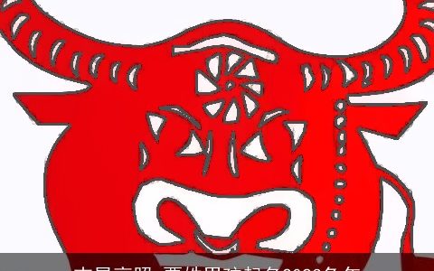 吉星高照_贾姓男孩起名2024兔年