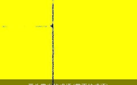 开头带也的成语(带不的成语)