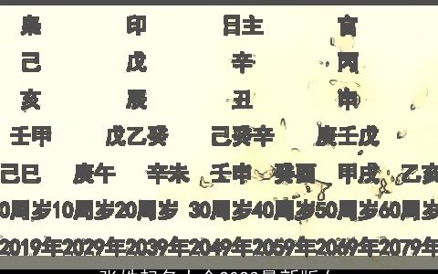 张姓起名大全2024最新版女