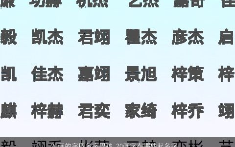 20画的字取名字男孩 20画字有哪些起名字大全用 2024新颖有涵养的男孩名字大全推荐