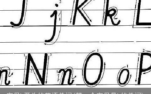 字母h开头的英语单词(第一个字母是h的单词)