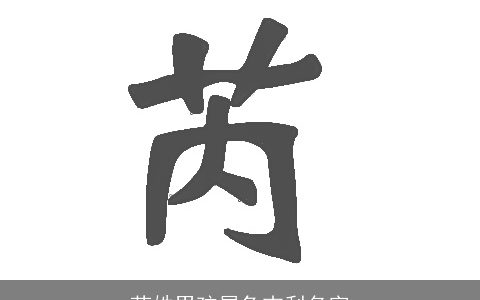 芮姓男孩属兔吉利名字