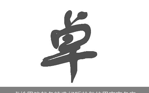 卓姓男孩起名精选好听帅气的男宝宝名字