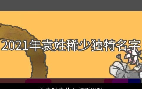 姓袁叫袁什么好听男孩