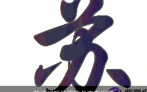 苏姓好听的男孩名字有寓意