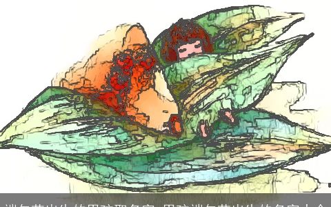 端午节出生的男孩取名字 男孩端午节出生的名字大全